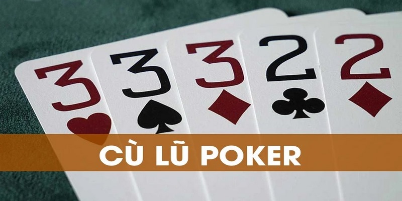 Cù Lũ Là Gì? Chia Sẻ Kiến Thức Về Cù Lũ Từ Chuyên Gia 78win